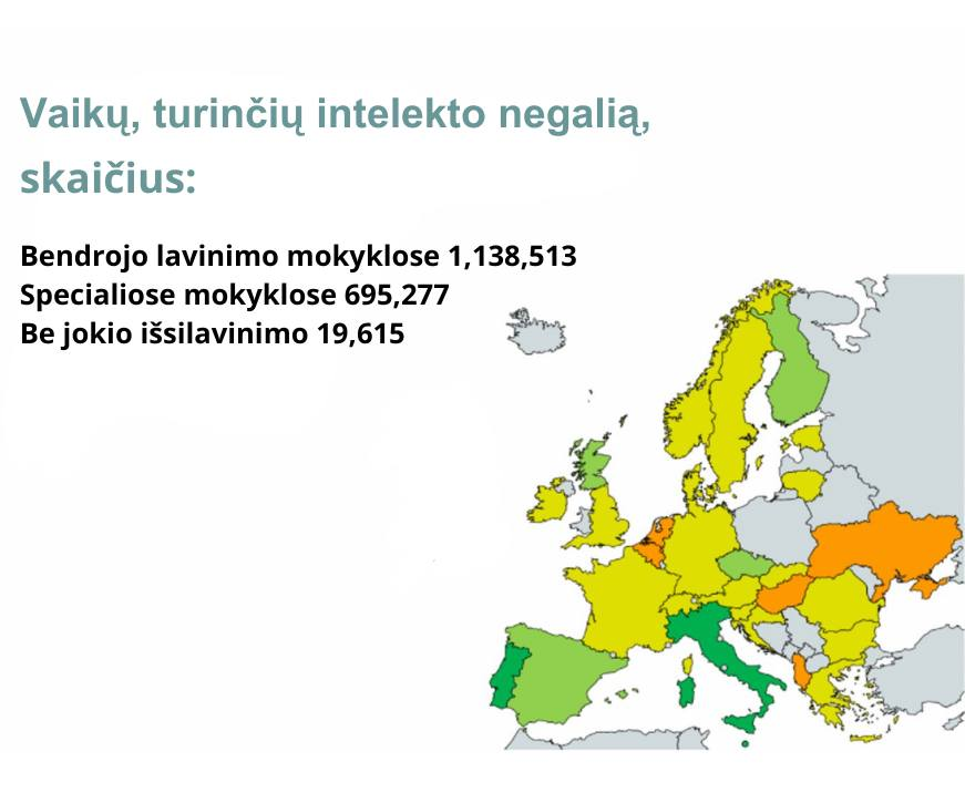 Vaikų, turinčių intelekto negalią skaičius Europos sąjungos mokyklose: Bendrojo lavinimo mokyklose: 1138513, specialiose mokyklose: 695277, be jokio išsilavinimo: 19615